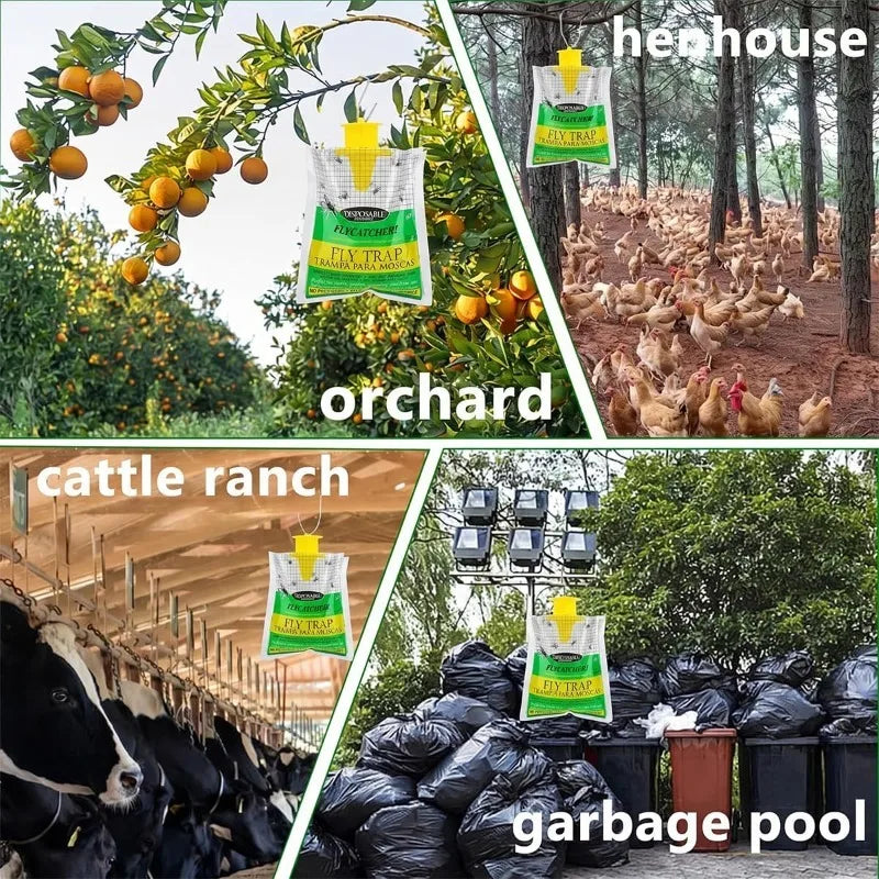 Outdoor lifestyle collage