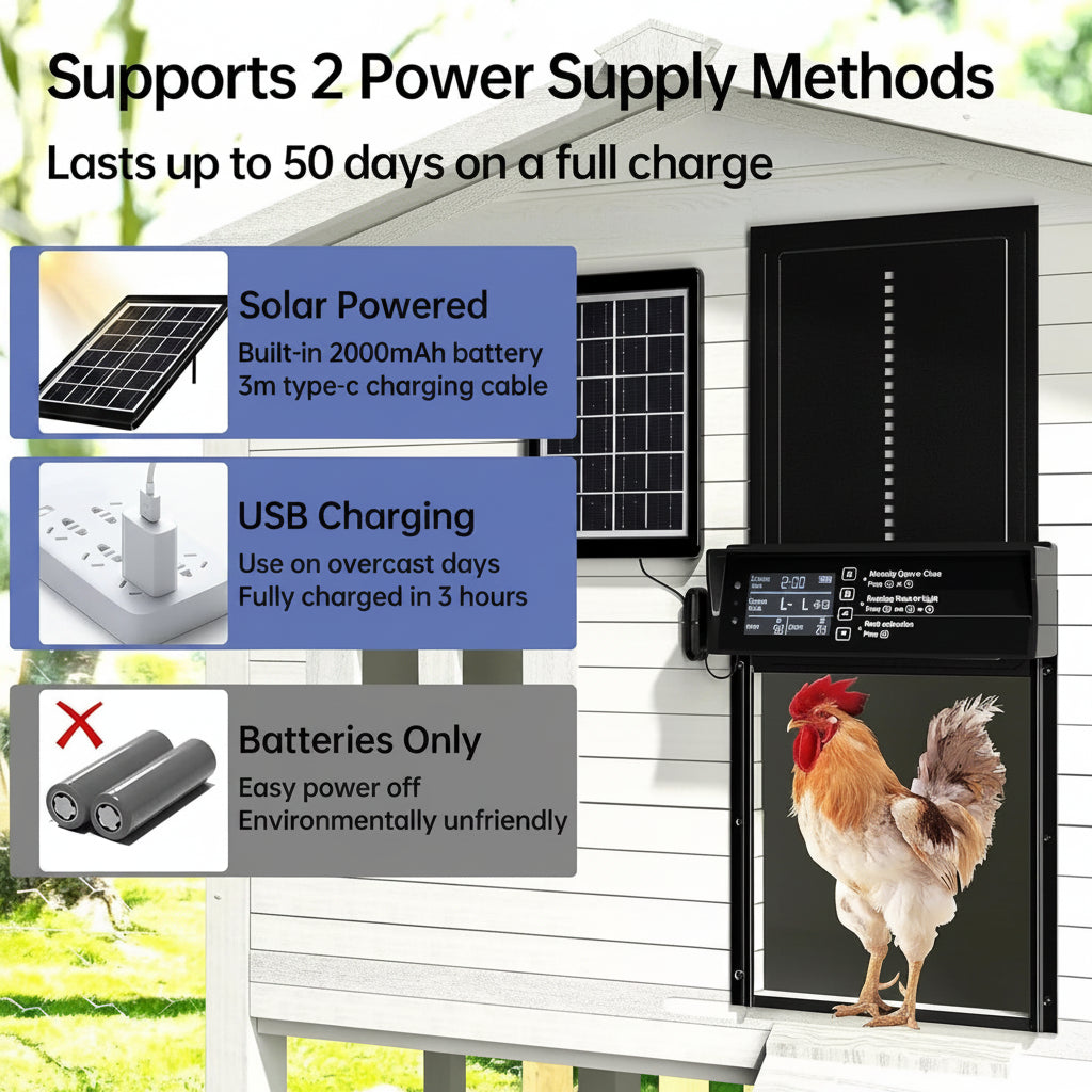 CoopGuard™ Auto Door - Protect your flock—automatically, day and night.